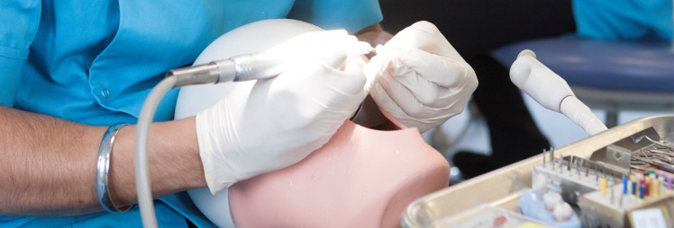 Student practicing dentistry skills on a medical mannequin.